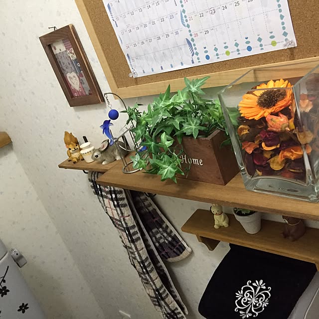 tukushiさんの実例写真