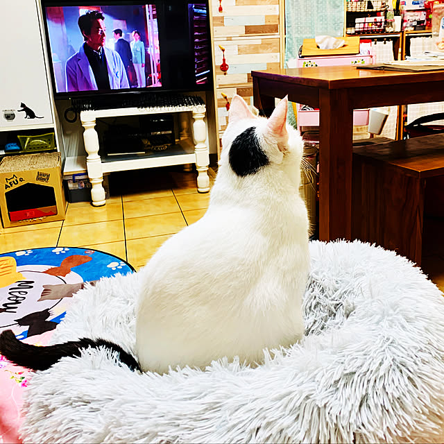 pcu110さんの実例写真