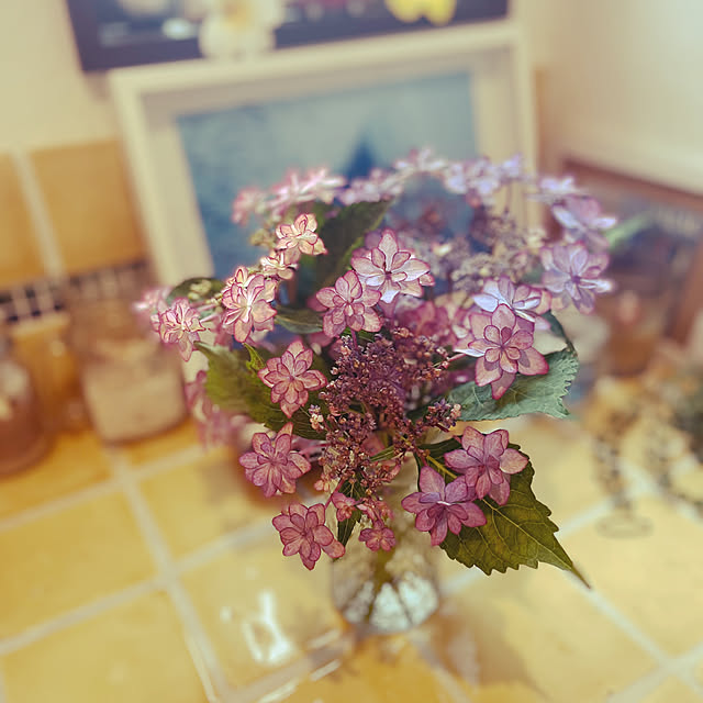 juniさんの部屋