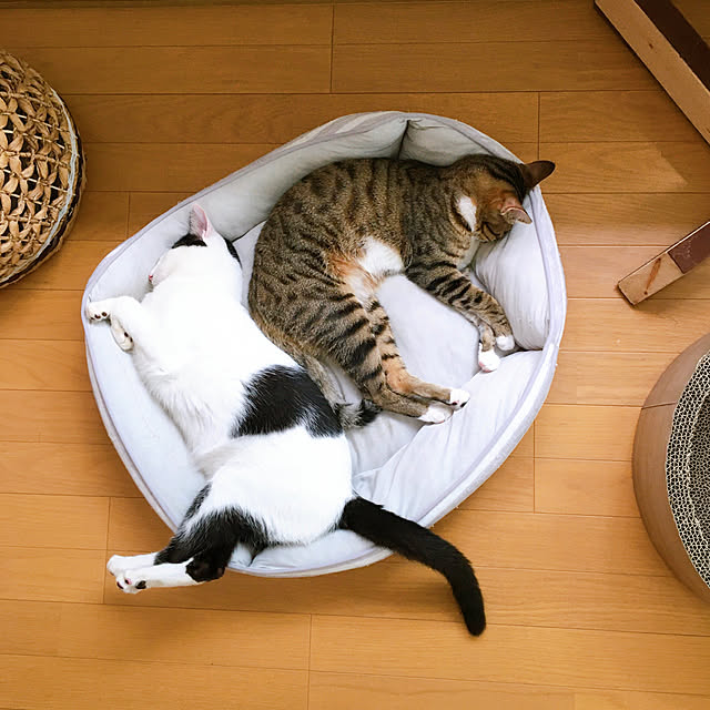 nobikoさんの実例写真