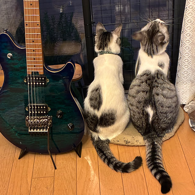 buchikoさんの部屋