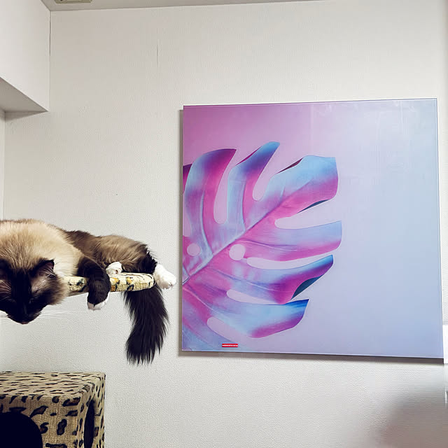 Nonさんの実例写真