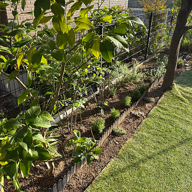 applepieさんの部屋