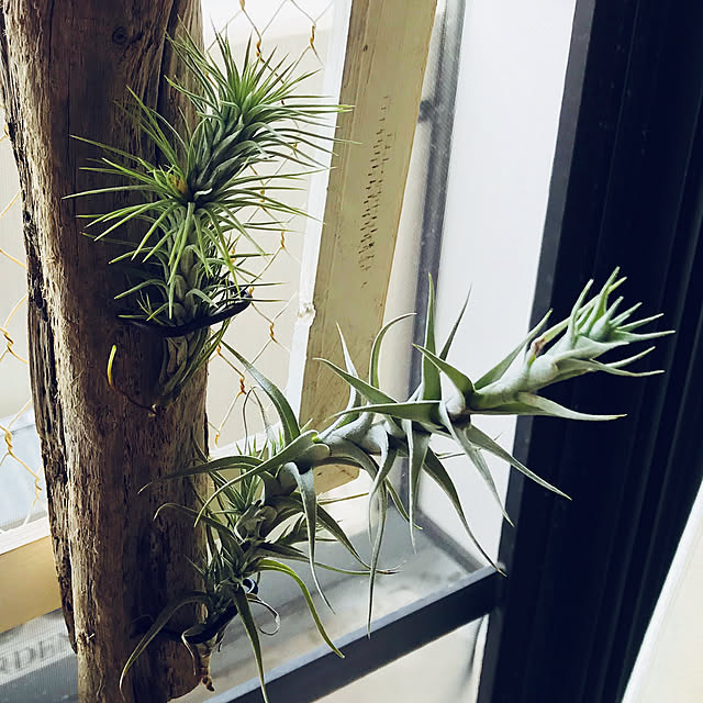 youさんの実例写真