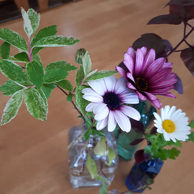 min_nimさんの実例写真