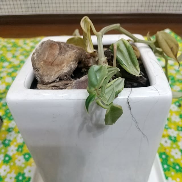Rさんの部屋