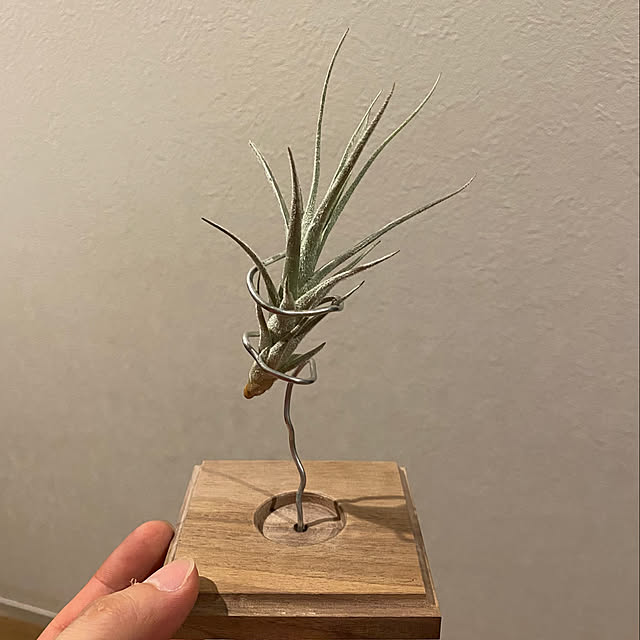 Akiy15さんの実例写真