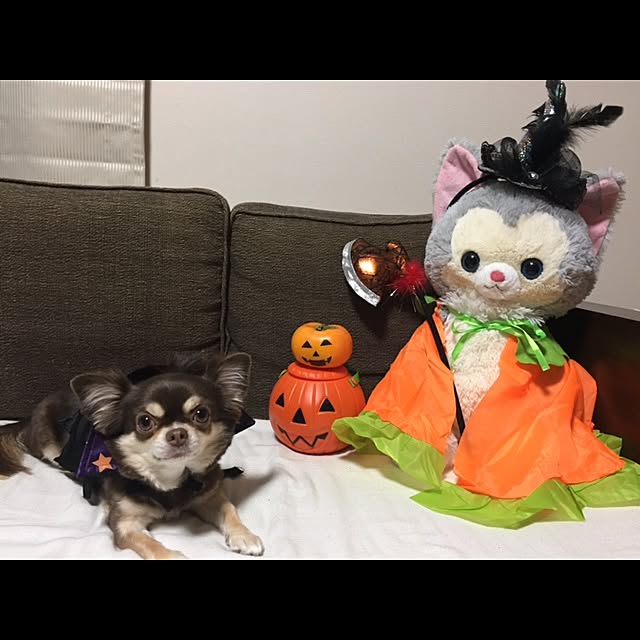 emibeiさんの実例写真