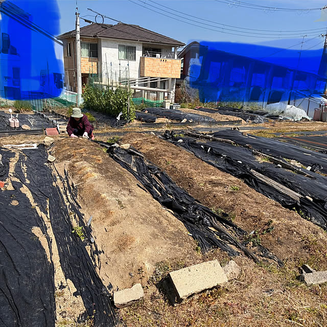 ayayayayaさんの部屋