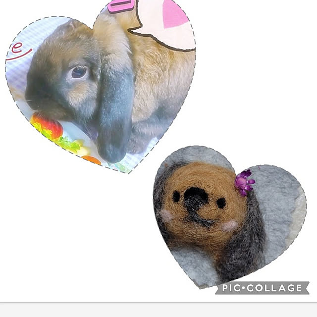 ANTENNAさんの実例写真
