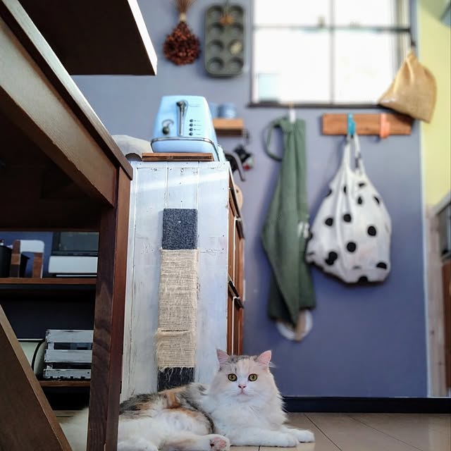 hiromi0302さんの実例写真