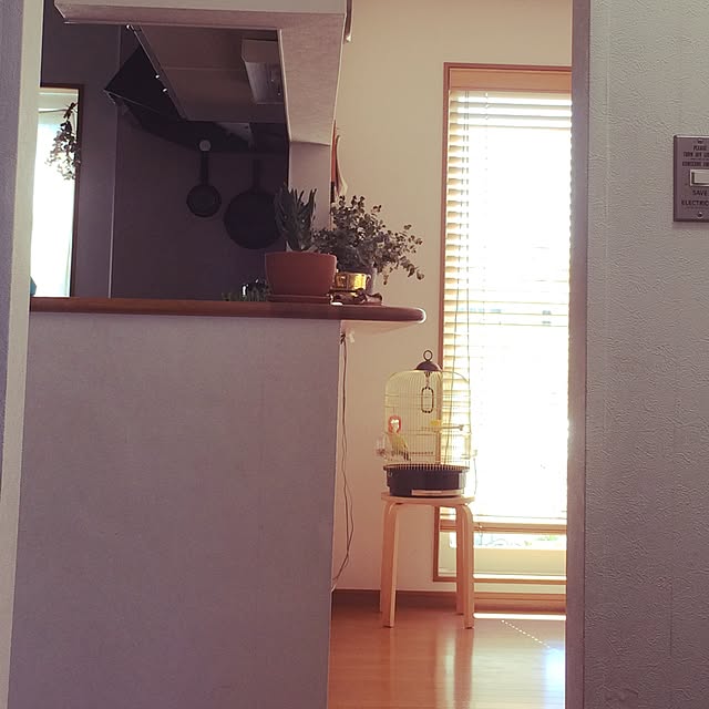 yukirinさんの実例写真