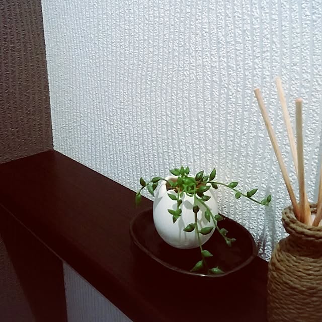 akikoさんの実例写真