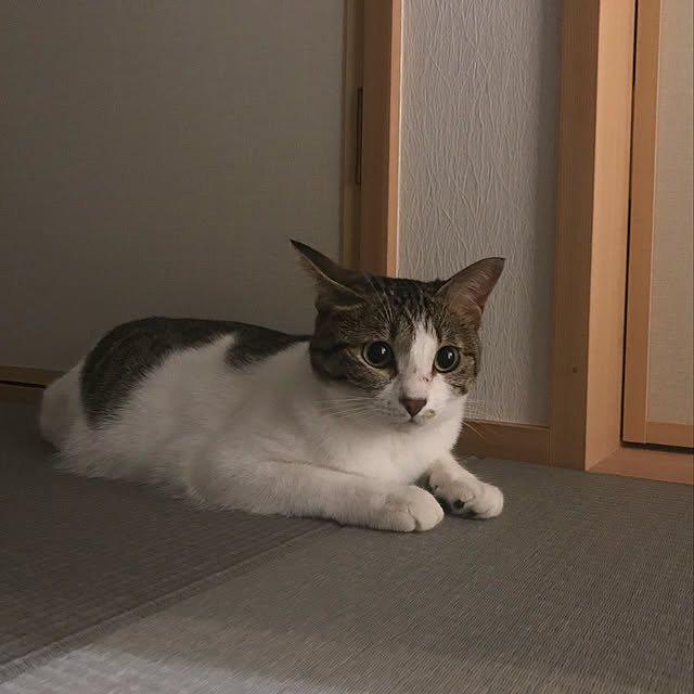mpwさんの実例写真