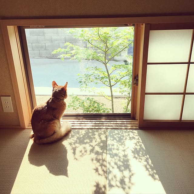 sakineko528さんの実例写真