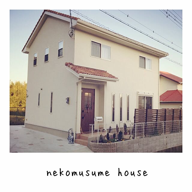nekomusumeさんの実例写真