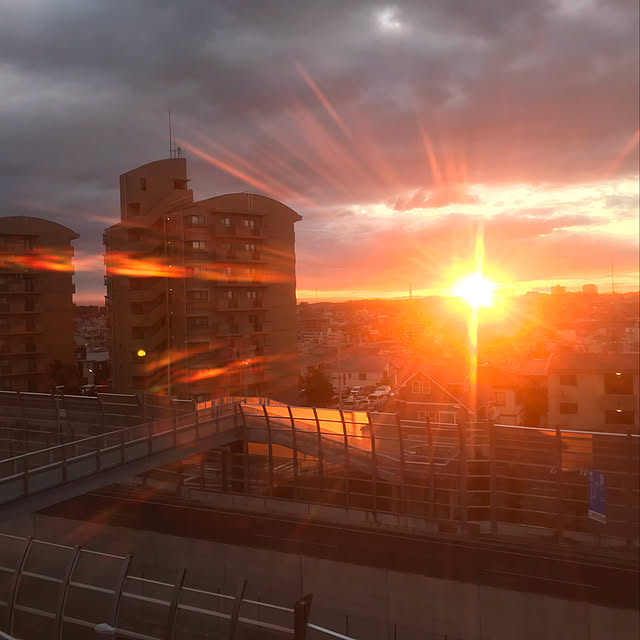 実例写真