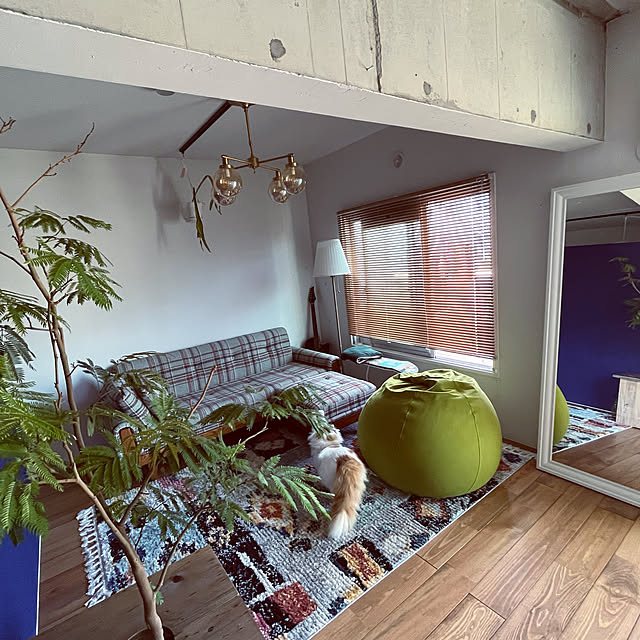 春の模様替え/ねこと暮らす/猫のいる生活/カフェ風/中古マンションリノベーション...などのインテリア実例 - 2022-03-18 15:10:55