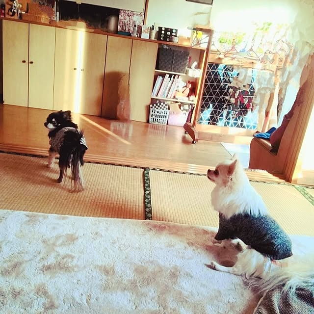 runaさんの実例写真