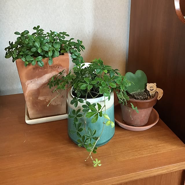 tomoさんの実例写真