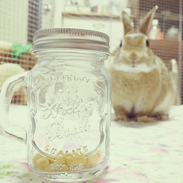 mashiさんの実例写真