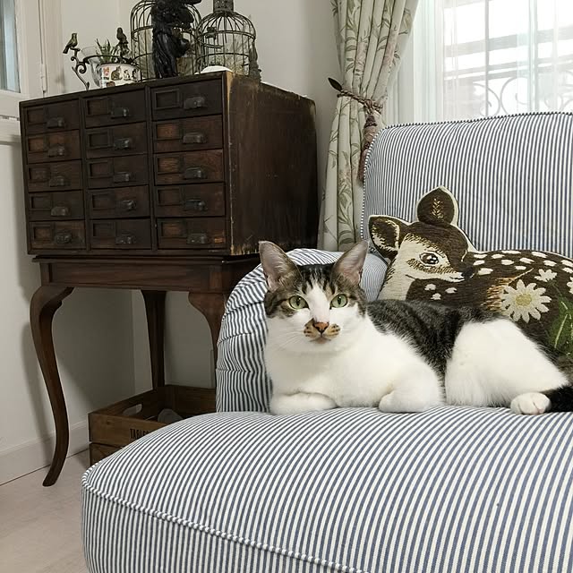 yuchiさんの実例写真