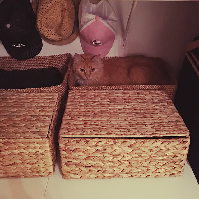 Keiさんの実例写真