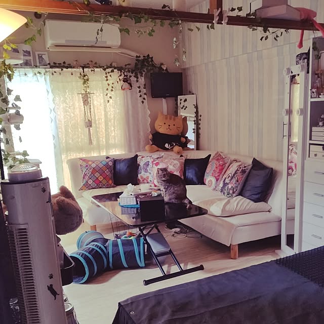 runaさんの部屋