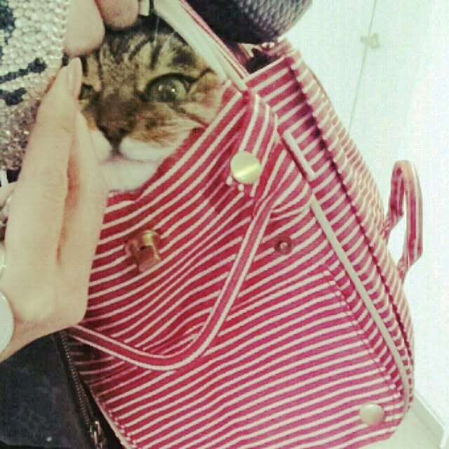 emmyyさんの実例写真