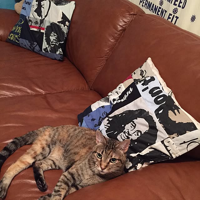 bowbowcoさんの実例写真