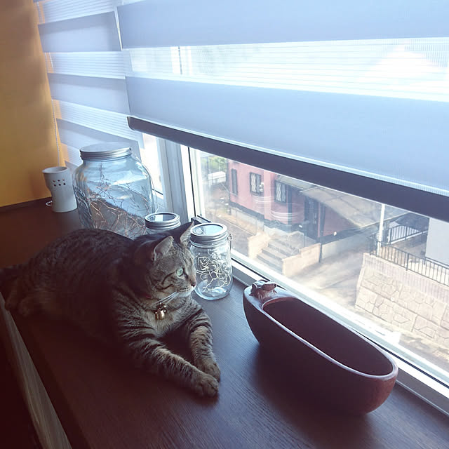 meguさんの実例写真