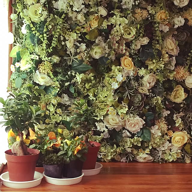 Cocoaさんの実例写真