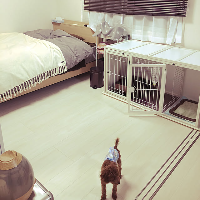 Sayaさんの実例写真