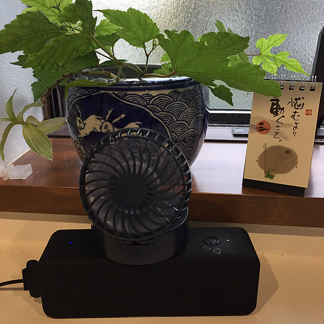 buchiさんの実例写真