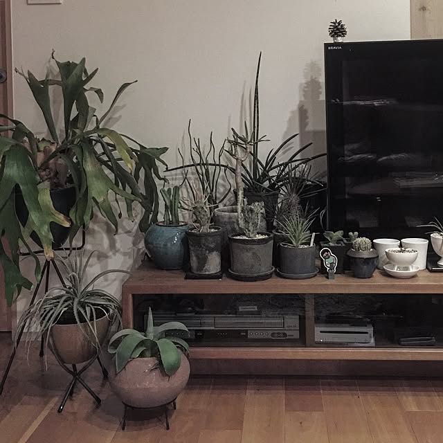 OkLettuceさんの実例写真