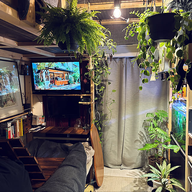 haruさんの実例写真