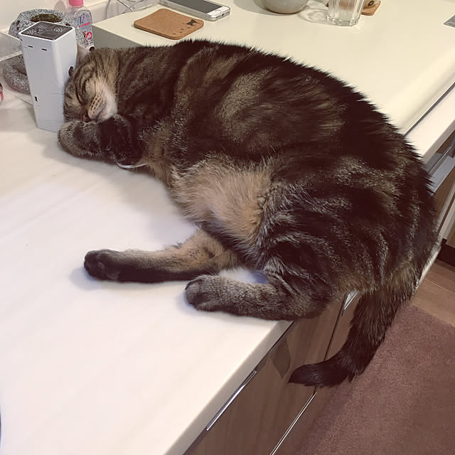 mikomaruさんの実例写真