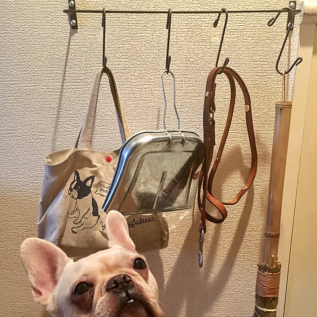 Kimmieさんの実例写真