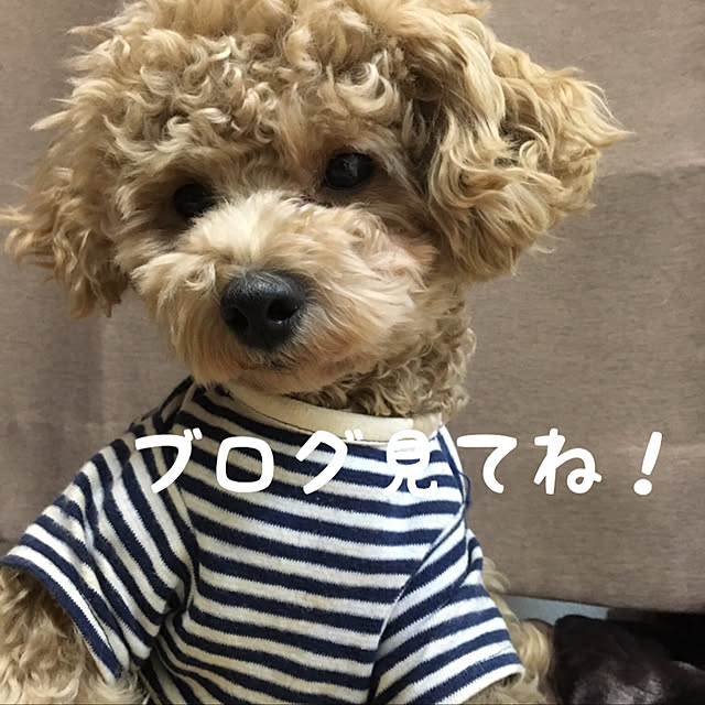 机/無印良品のインテリア実例 - 2019-01-11 10:33:00