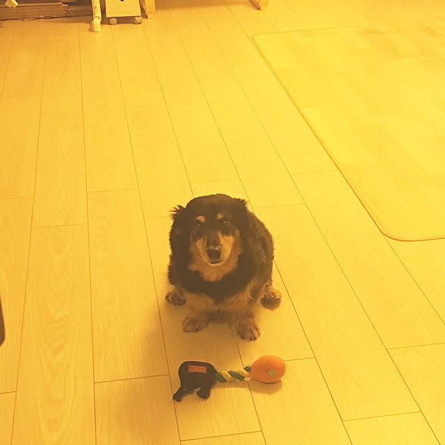 ohanaさんの実例写真