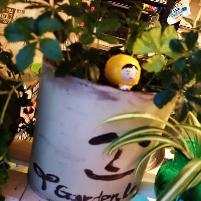 Chiekoさんの実例写真