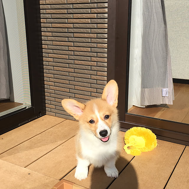 Kanamaruさんの実例写真
