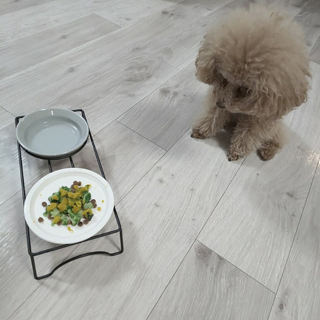 erisavesu4さんの実例写真
