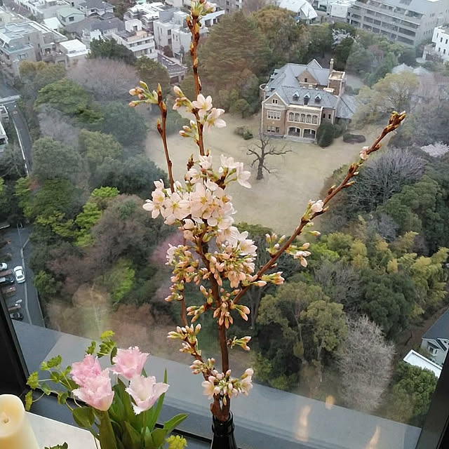 okapinさんの実例写真