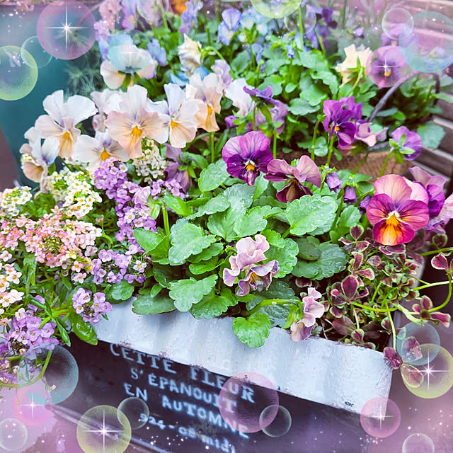 mimi828さんの実例写真