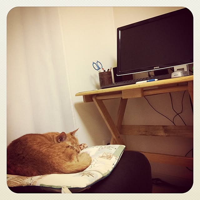 cyokotaroさんの実例写真
