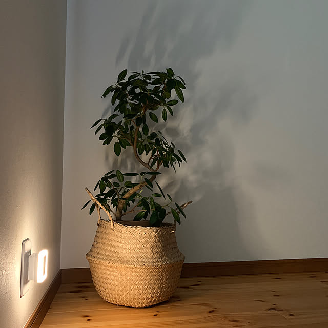 lalalaさんの部屋