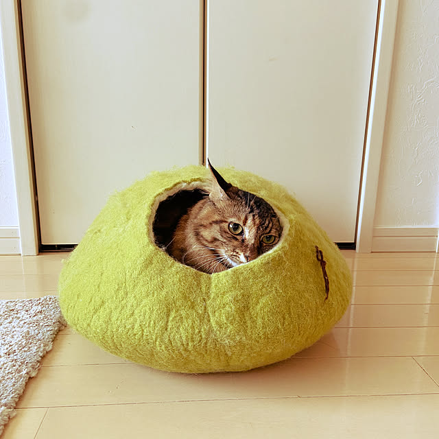 gachaさんの部屋