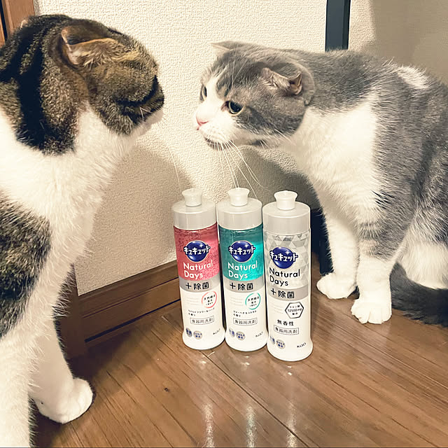 tansukeさんの実例写真
