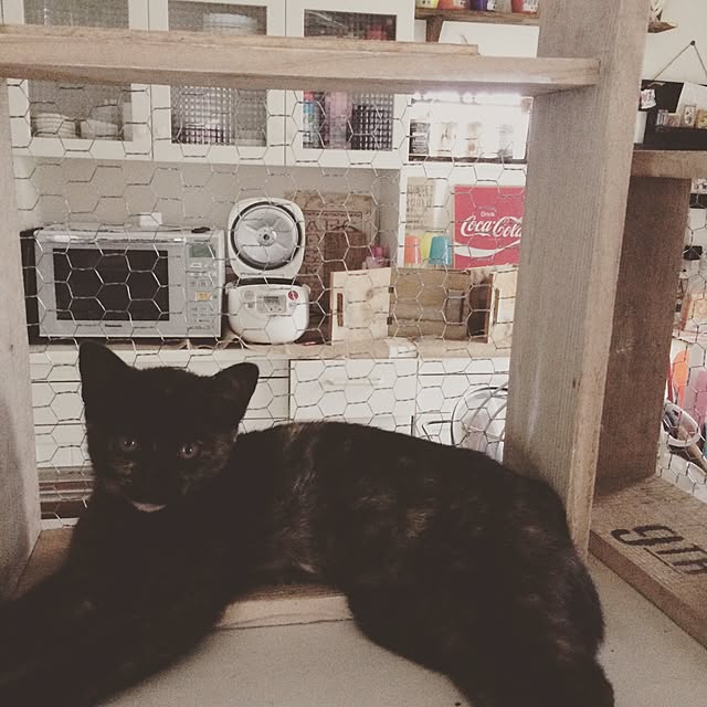 Keikoさんの実例写真